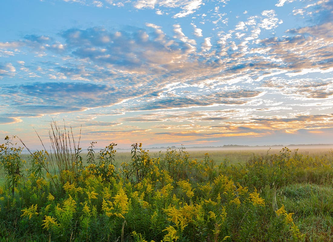 Marion, IL - Scenic View of a Green Field of Grass in the Countryside in Marion Illinois with a Colorful Sunset Sky